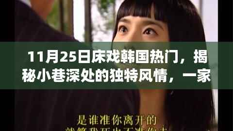 韩国隐藏版床戏小店揭秘,小巷深处的独特风情与床戏热潮(涉黄内容警示)