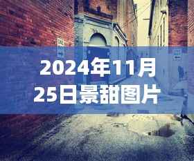 景甜最新图片揭秘,小巷深处的甜蜜秘境与独特小店背后的故事