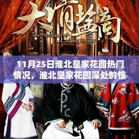 淮北皇家花园隐藏小巷的特色小店,揭秘11月25日的热门惊喜