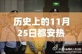 历史上的11月25日都安热门杀人案深度解析，三大要点揭秘案件真相