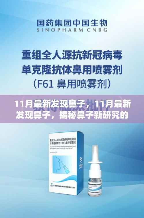 揭秘鼻子新研究的正反观点与个人立场,最新发现与探讨