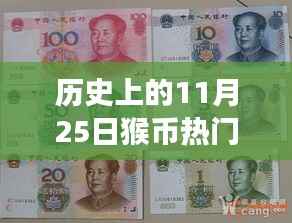 猴币热门价格揭秘,与自然美景的邂逅之旅的历史回顾与趋势分析