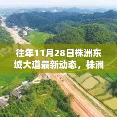 株洲东城大道,昔日变迁与今日新貌的交响乐章——最新动态回顾(往年1月28日)
