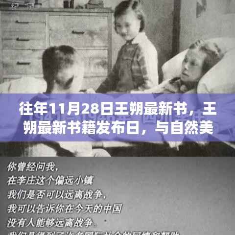王朔新书发布日,与自然美景的邂逅之旅,探寻内心宁静之地