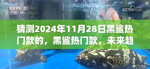 深度解析,黑鲨热门款未来趋势预测与背景事件影响,时代地位展望(2024年11月28日)