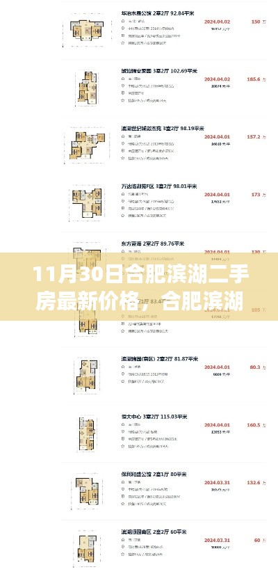 合肥滨湖二手房最新价格解析,11月30日购房指南
