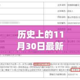 揭秘历史重大时刻,揭秘围标串标事件内幕,最新事件回顾(日期为11月30日)