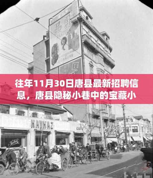 往年11月30日唐县最新招聘信息,唐县隐秘小巷中的宝藏小店,揭秘十一月最新招聘信息与独特环境魅力