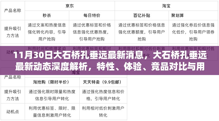 大石桥孔垂远最新动态解析,特性、体验、竞品对比与用户洞察