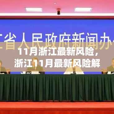 浙江11月最新风险解析及应对策略与观点阐述