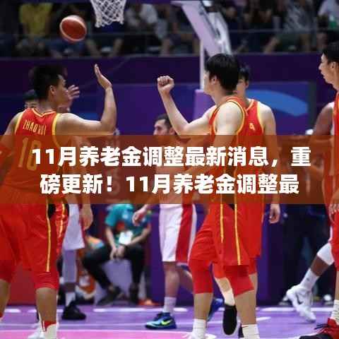 重磅更新!全面解析11月养老金调整最新消息