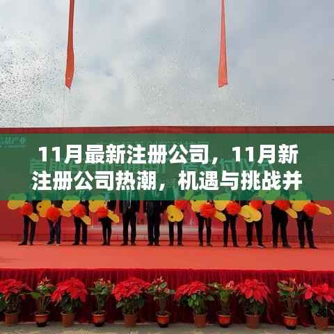11月新注册公司热潮，机遇与挑战并存