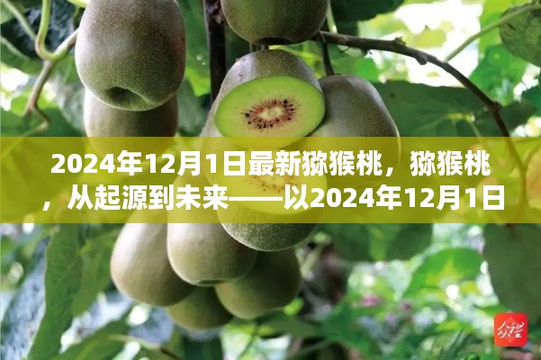 猕猴桃的起源与未来展望,以猕猴桃产业在2024年12月1日的变革为视角