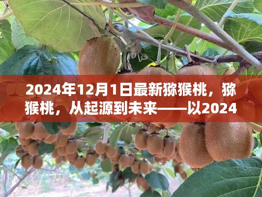 猕猴桃的起源与未来展望,以猕猴桃产业在2024年12月1日的变革为视角