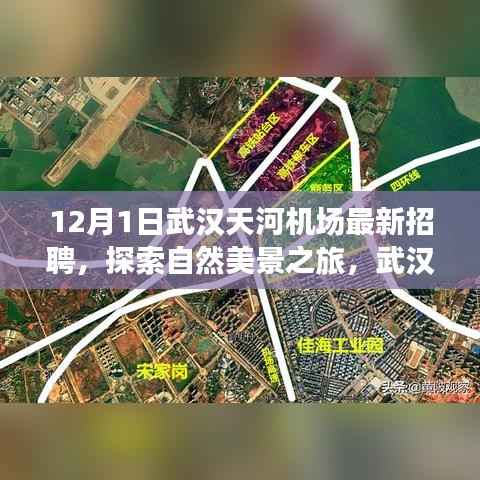 武汉天河机场最新招聘启航,探索自然美景之旅,心灵平静之旅的开始