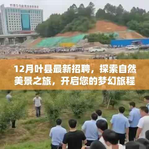 12月叶县招聘启幕,自然美景之旅与内心宁静的梦幻追寻