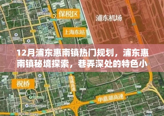 浦东惠南镇秘境探索,巷弄特色小店与规划新篇章揭秘(十二月热门规划)