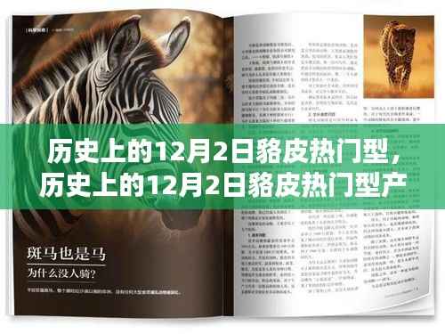 历史上的12月2日貉皮热门产品全面评测与介绍