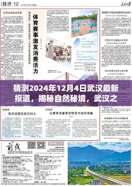 揭秘武汉自然秘境,探寻心灵宁静之旅启程于未来日期揭晓日,武汉最新报道 2024年12月4日