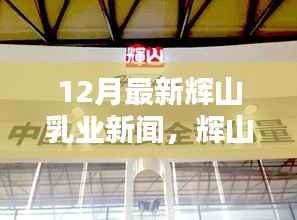 辉山乳业最新动态揭秘,小巷乳业小店的独特魅力与探索热潮