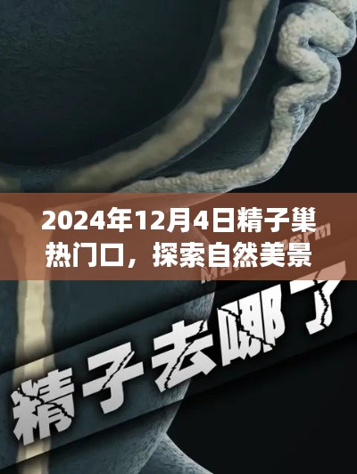 探索自然美景之旅,精子巢热门口的奇妙探索之旅(2024年)