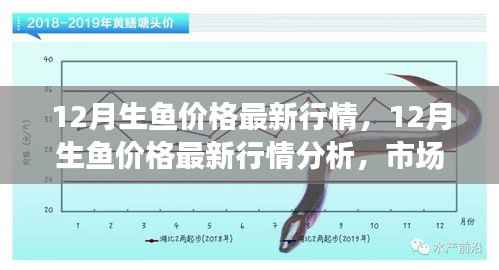 12月生鱼价格最新动态,市场走势分析与多方观点探讨