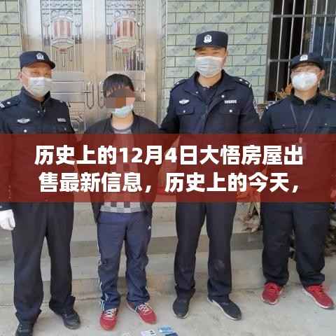 历史上的今天,揭秘大悟房屋市场最新动态,深度解读出售信息,最新房屋出售资讯一网打尽