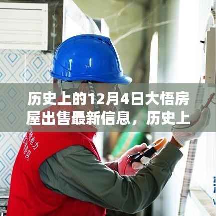 历史上的今天,揭秘大悟房屋市场最新动态,深度解读出售信息,最新房屋出售资讯一网打尽