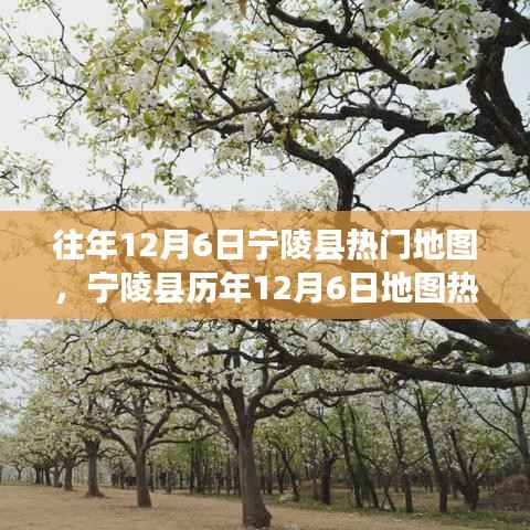 宁陵县历年12月6日热门地图事件回顾与回顾