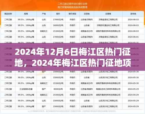 2024年梅江区热门征地项目全景解析