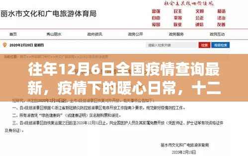 往年12月6日全国疫情查询最新,疫情下的暖心日常,十二月六日的疫情查询与家的温馨时光