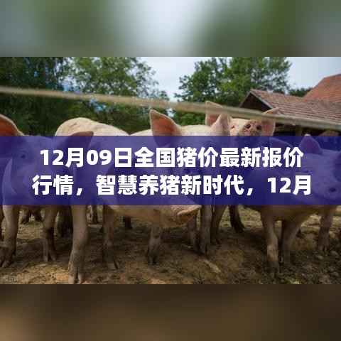 12月09日全国猪价最新报价行情,智慧养猪新时代,12月09日全国猪价智能报价系统引领行业变革