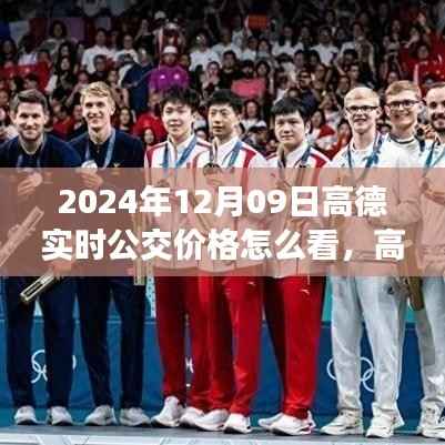 2024年12月09日高德实时公交价格怎么看,高德实时公交价格查询指南,解读2024年公交费用新动态