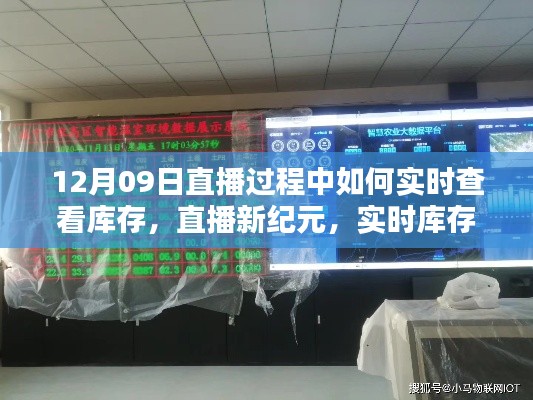 直播新纪元,实时库存监控掌控,直播过程中的库存动态一目了然