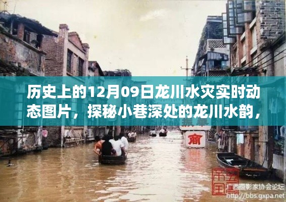 龙川水灾历史与实时动态,洪水记忆之旅探秘小巷深处的韵味