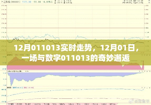 12月01日，数字011013的实时走势与奇妙邂逅揭秘