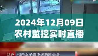 乡村巷弄秘境,实时监控直播下的农村特色小店探索之旅
