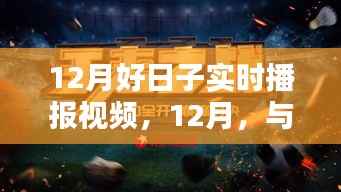 12月启程,与大自然共舞的日子,寻找内心的宁静实时播报视频