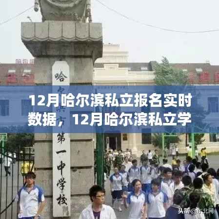 哈尔滨私立学校报名实时数据观察与深度思考