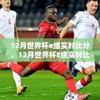 世界杯E组实时比分产品评测与介绍,洞悉比赛动态