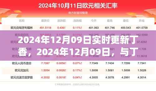 丁香之旅,寻找内心平静的奇妙旅行