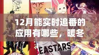 十二月追番必备应用,暖冬时光与友情小记的实时追番指南