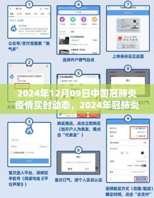 中国篇新冠肺炎疫情实时动态跟踪指南,初学者与进阶用户参考(2024年)