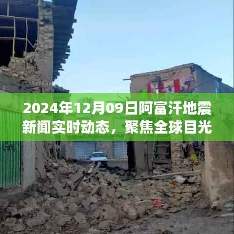 全球聚焦,阿富汗地震实时动态新闻报道(2024年)