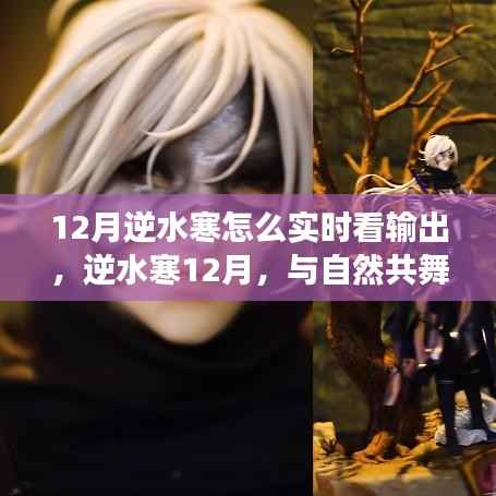 逆水寒12月实时输出攻略,与自然共舞,探寻内心宁静之旅