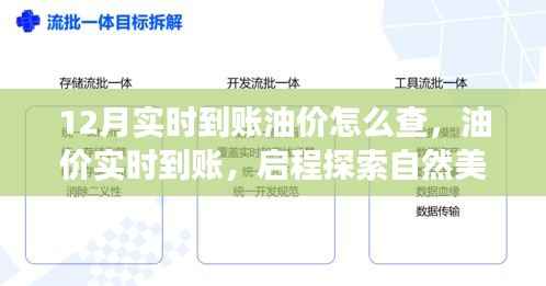 油价实时到账,启程探索自然美景,油价查询与心灵之旅的双重体验