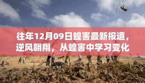 逆风翱翔,蝗害最新报道与学习变化的力量,自信塑造未来