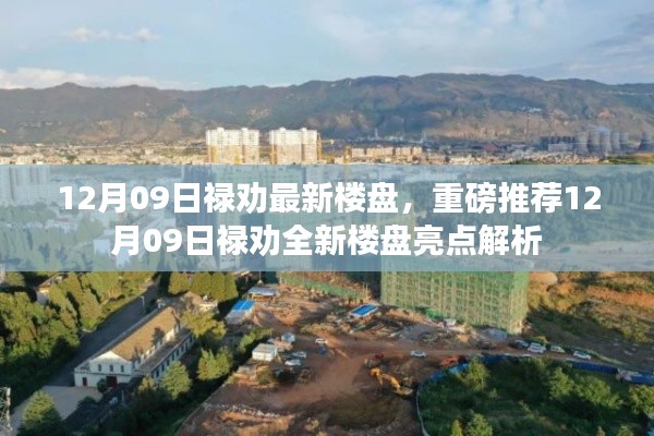 12月09日禄劝全新楼盘亮点深度解析与推荐