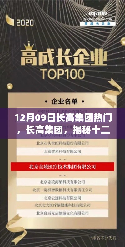 揭秘长高集团十二月九日背后的故事,探寻企业成长新高度!