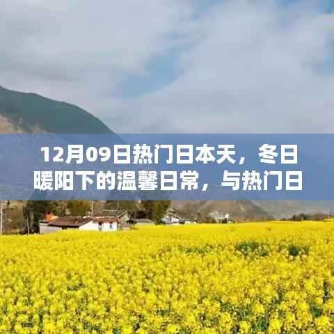 冬日暖阳下的日本天,温馨日常与奇妙友谊